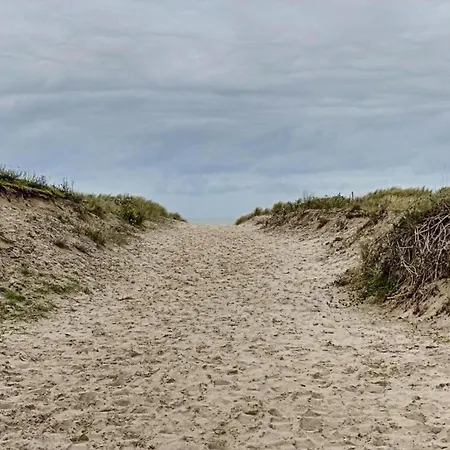 Nereiden A 176 With A View Of The Dunes