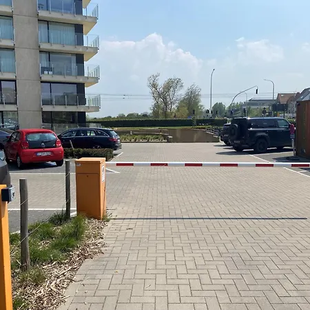 Nereiden A 176 With A View Of The Dunes *